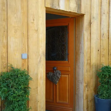 Colombe Des Bois