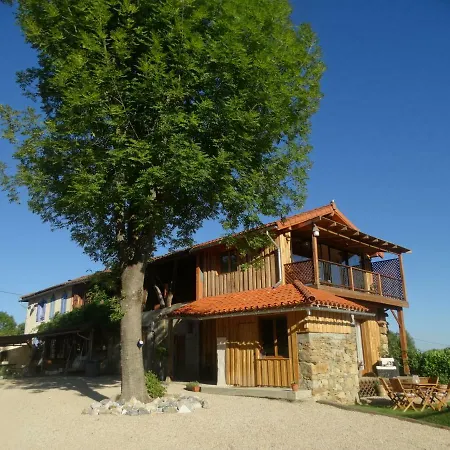 Colombe Des Bois Estadens
