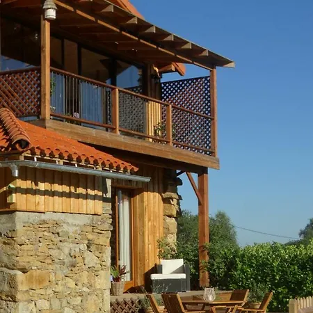 Colombe Des Bois