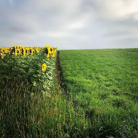 Colombe Des Bois 펜션