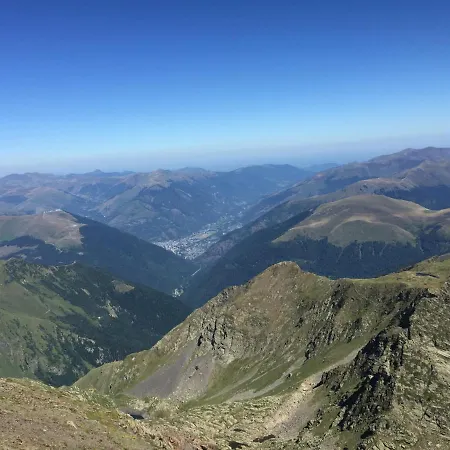 Colombe Des Bois Estadens