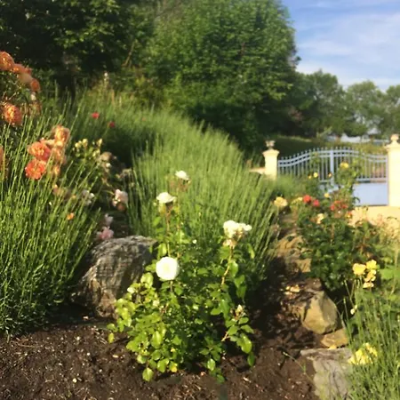 Colombe Des Bois 펜션 *