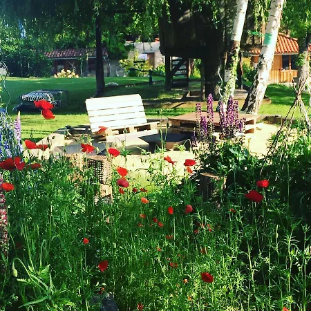 Colombe Des Bois * Estadens