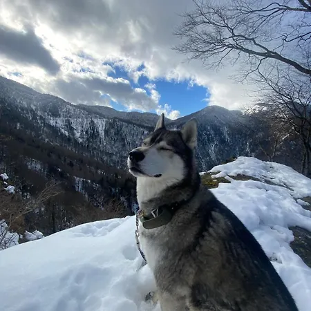 Colombe Des Bois 펜션