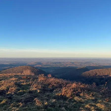 Colombe Des Bois Estadens