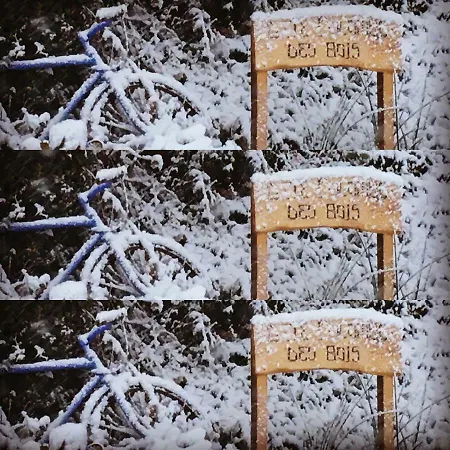 펜션 Colombe Des Bois