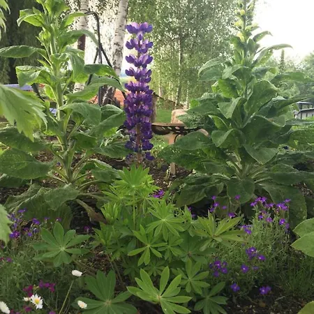 Colombe Des Bois 펜션