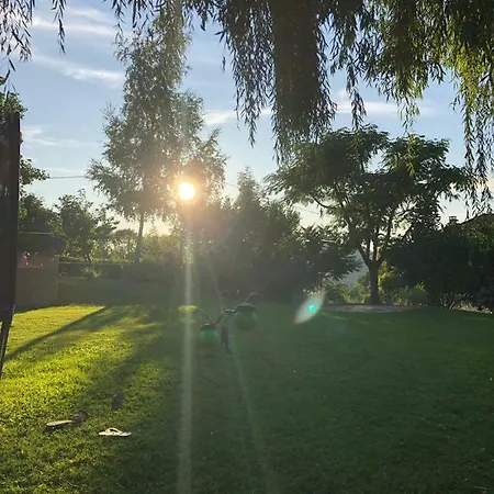 Colombe Des Bois Estadens