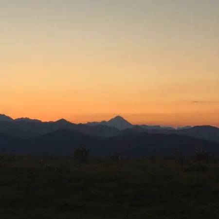 Colombe Des Bois Estadens
