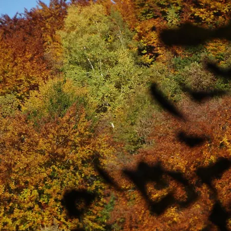 Colombe Des Bois 펜션 Estadens