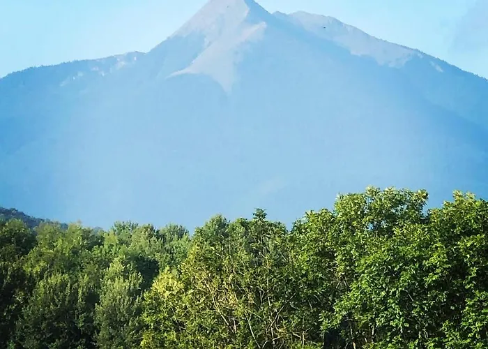 Colombe Des Bois * Estadens