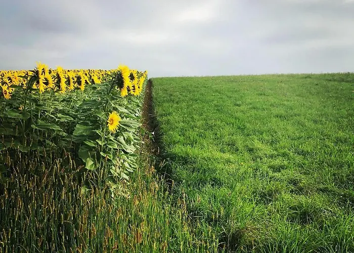 Colombe Des Bois Feriehus