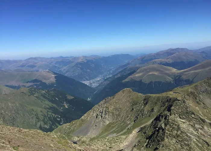 Colombe Des Bois Estadens