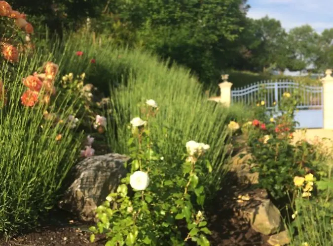 Colombe Des Bois Feriehus *