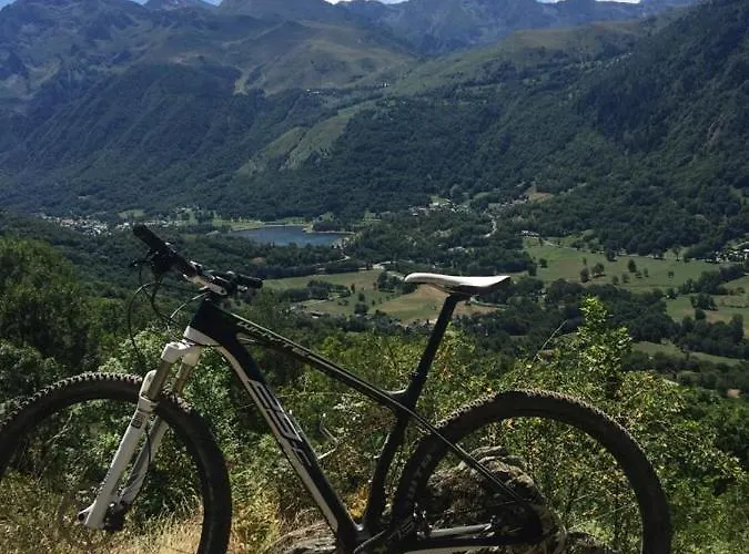 Colombe Des Bois Feriehus Estadens