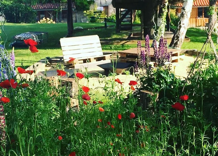 Colombe Des Bois * Estadens