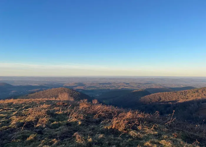 Colombe Des Bois Estadens