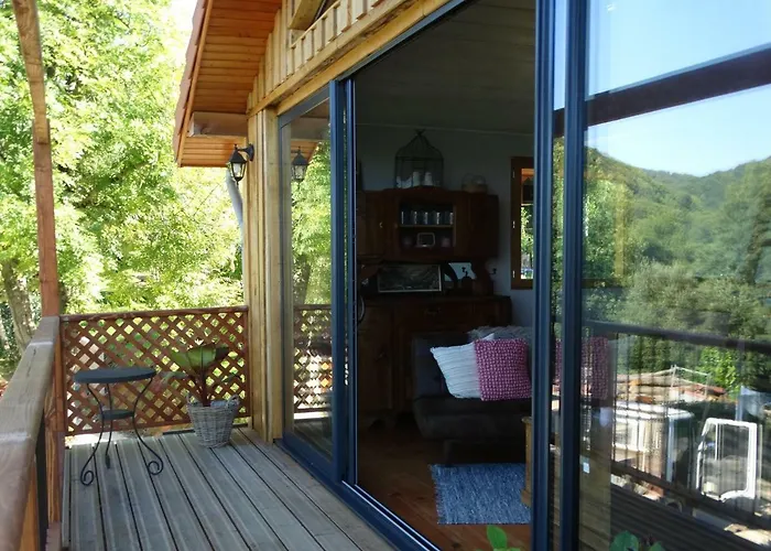 Colombe Des Bois Estadens