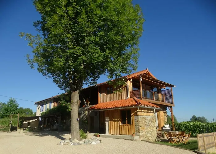 Colombe Des Bois Estadens