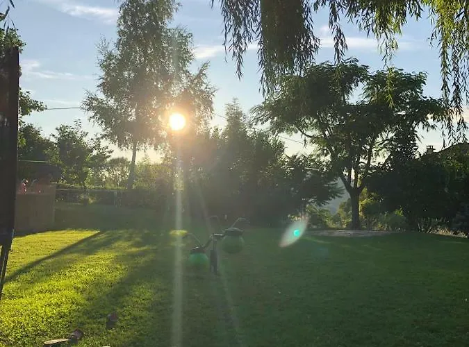 Colombe Des Bois Estadens