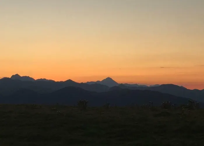 Colombe Des Bois Estadens